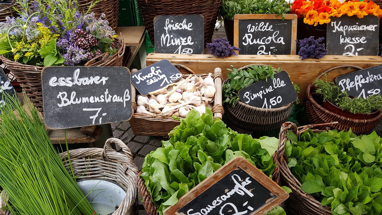 How Tokenomics Influences Market Performance